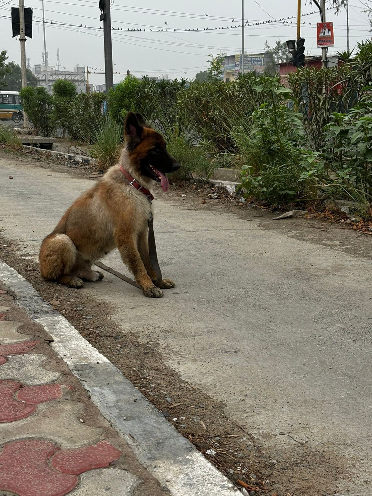 post